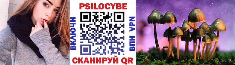 Купить где  Дмитров  Галлюциногенные грибы GOLDEN TEACHER 